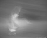 Echo of Flight