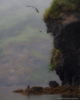 Edge of Stillness