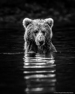 In Reflection BW