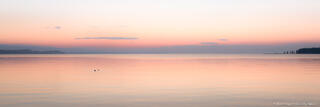 Morning's Whisper
