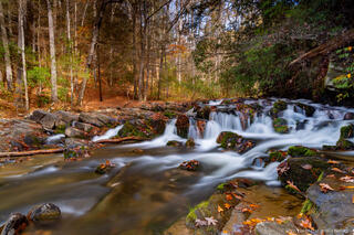 Autumn Run