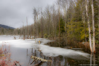Silent Thaw