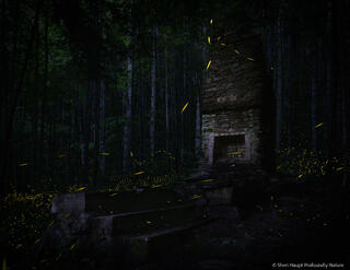 Kindled by Night