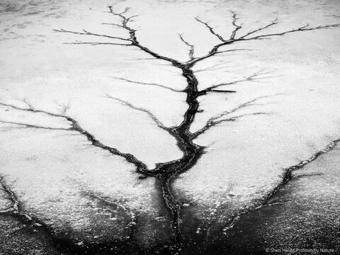 Abstract Nature