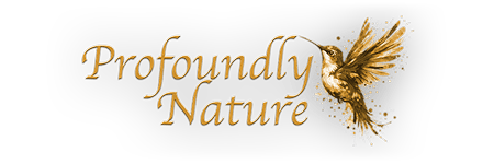 Profoundly Nature