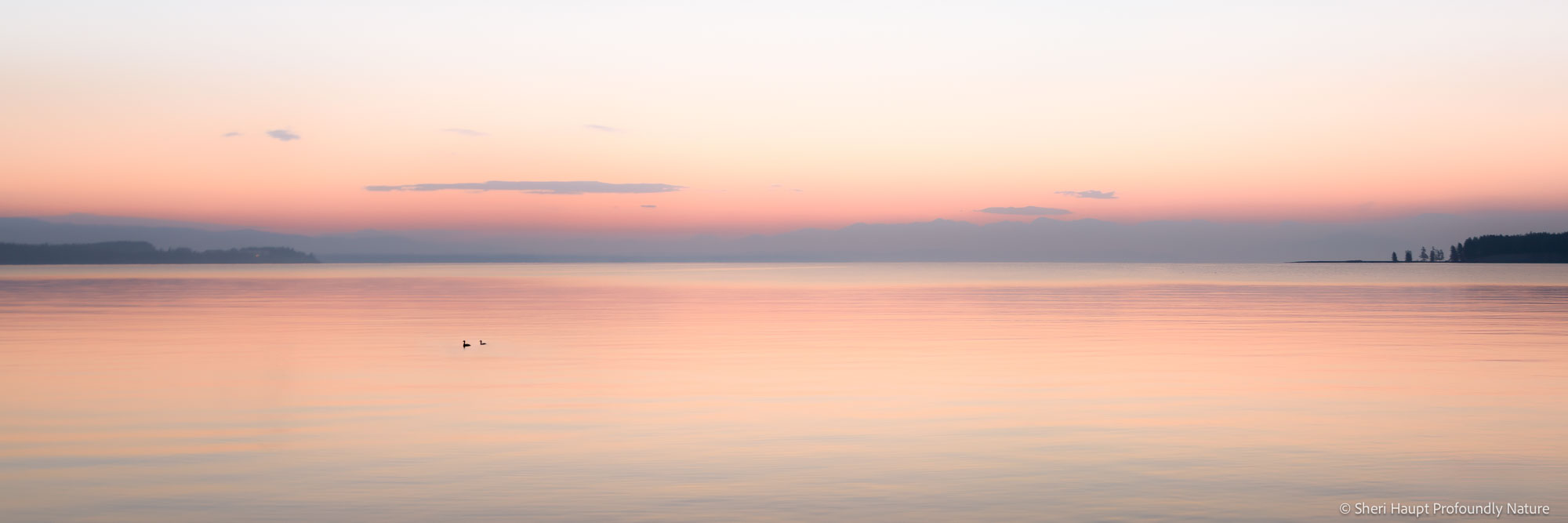 Morning's Whisper At first light on Yellowstone Lake, the world stirs almost imperceptibly. Soft hues of dawn settle across the water as sky and...