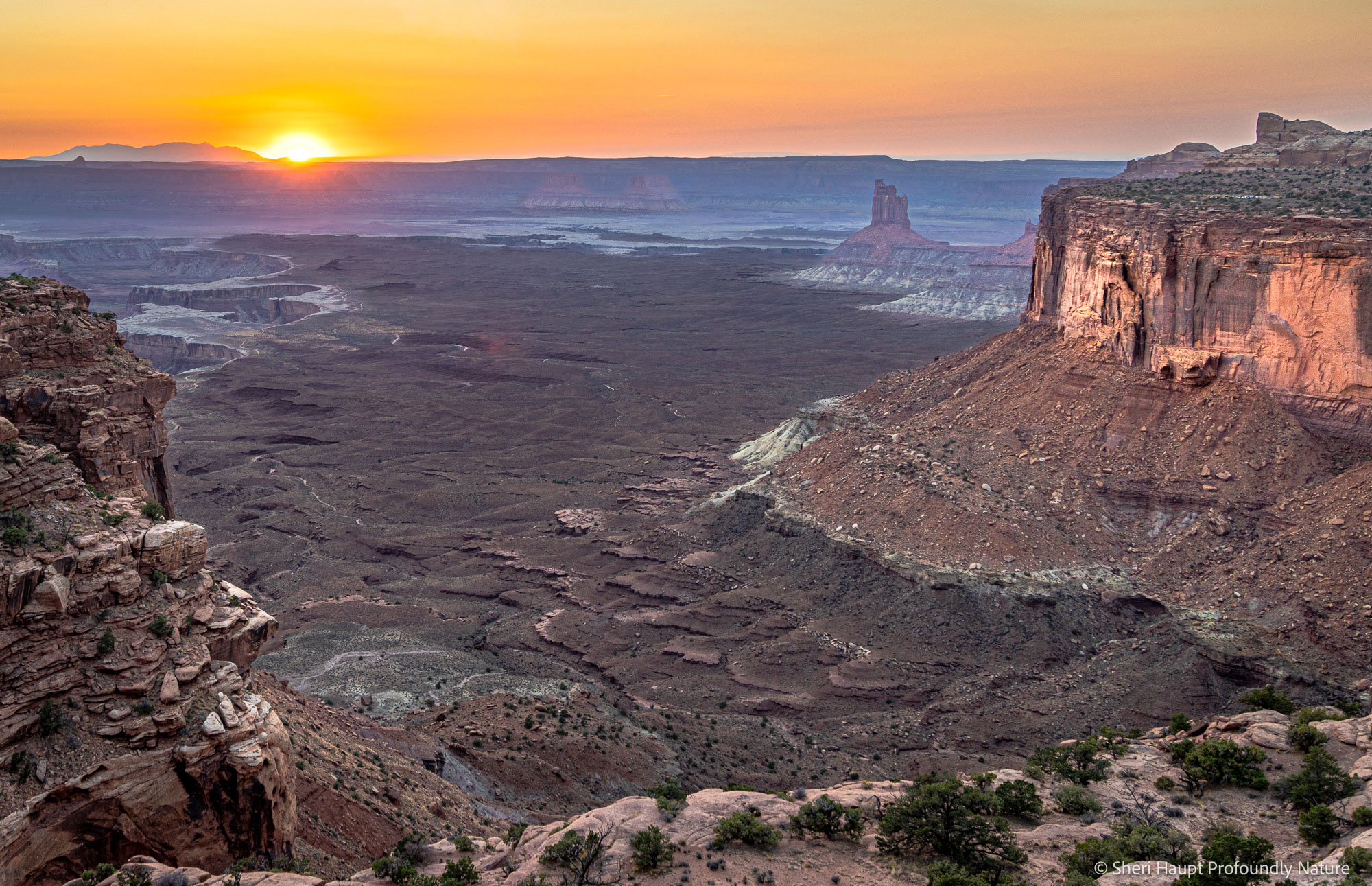 Carved by Light As the first light of day reaches across Canyonlands, ancient cliffs and sculpted mesas slowly emerge from shadow. Millions of...