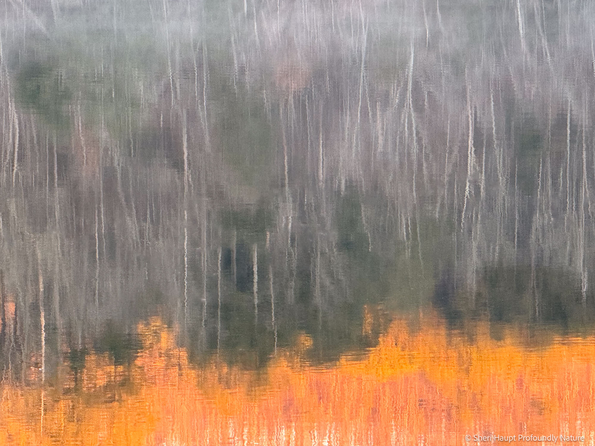 Reflected Ember A quiet shoreline dissolves into reflection as light settles across the water, transforming the landscape into something softer...